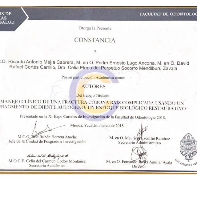 Ampliar imagen: certificate 5