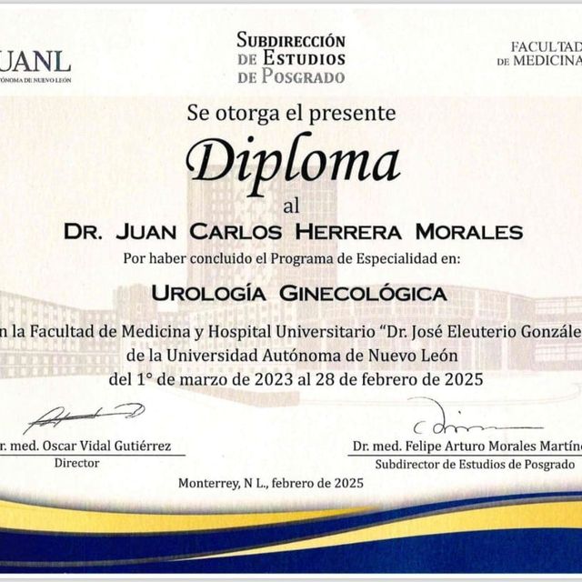 Ampliar imagen: certificate 4
