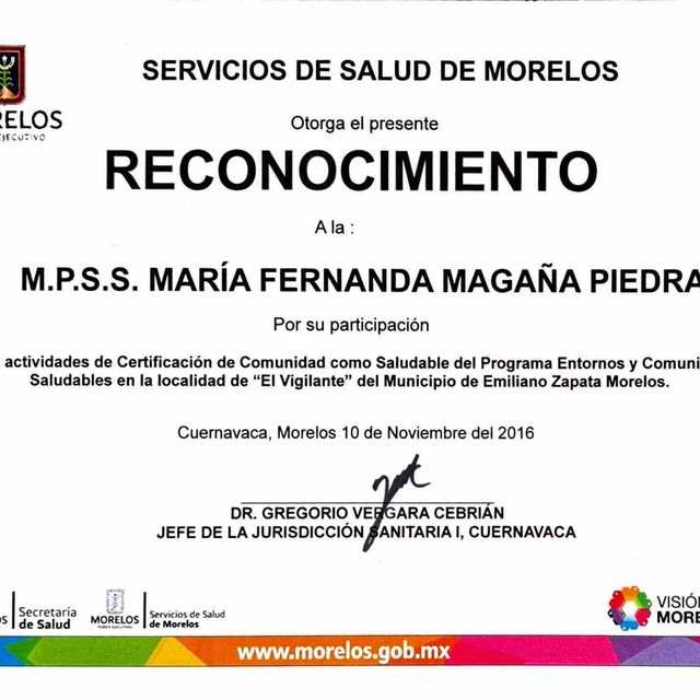 Ampliar imagen: certificate 7