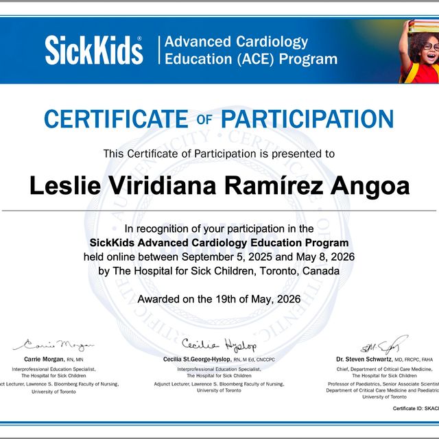 Ampliar imagen: certificate 4