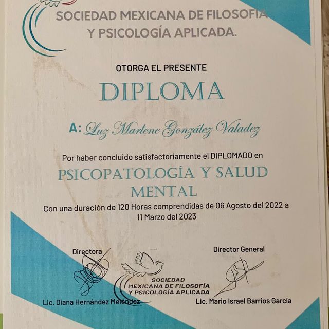 Ampliar imagen: certificate 7