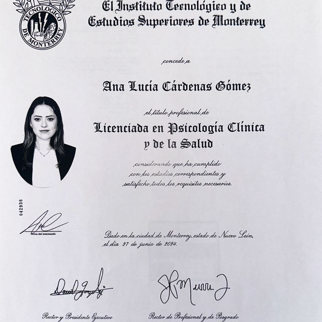 Ampliar imagen: certificate 3