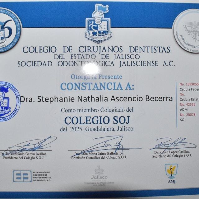 Ampliar imagen: certificate 3