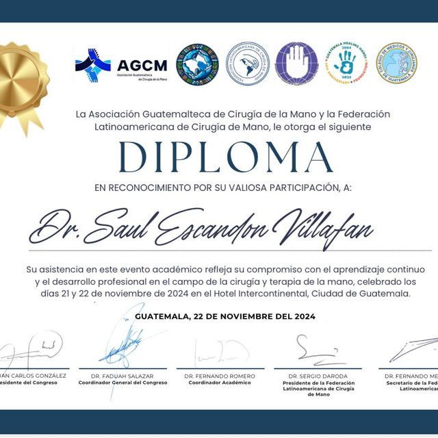Ampliar imagen: certificate 5