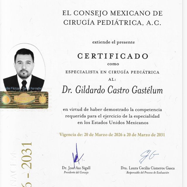 Ampliar imagen: certificate 1