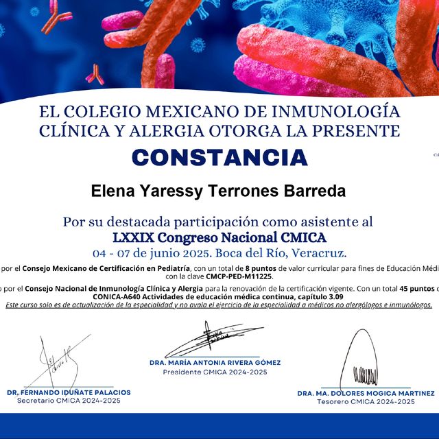 Ampliar imagen: certificate 2