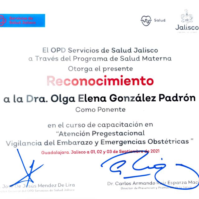 Ampliar imagen: certificate 8