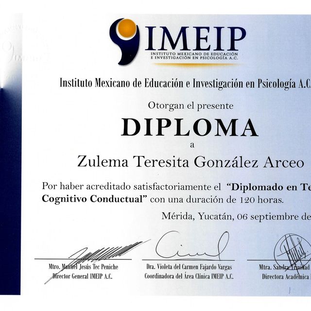 Ampliar imagen: certificate 5