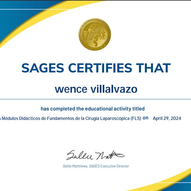 Ampliar imagen: certificate 3
