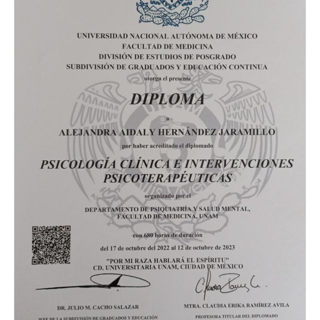 Ampliar imagen: certificate 5