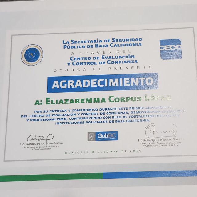 Ampliar imagen: certificate 8