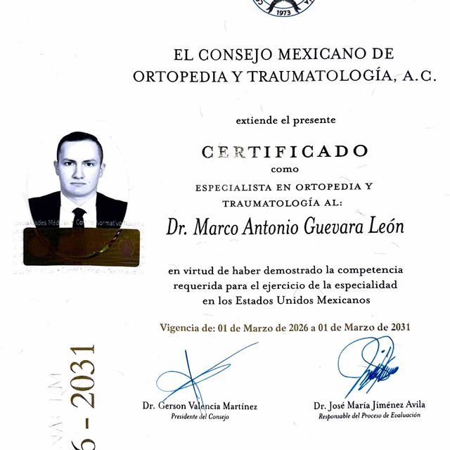 Ampliar imagen: certificate 1