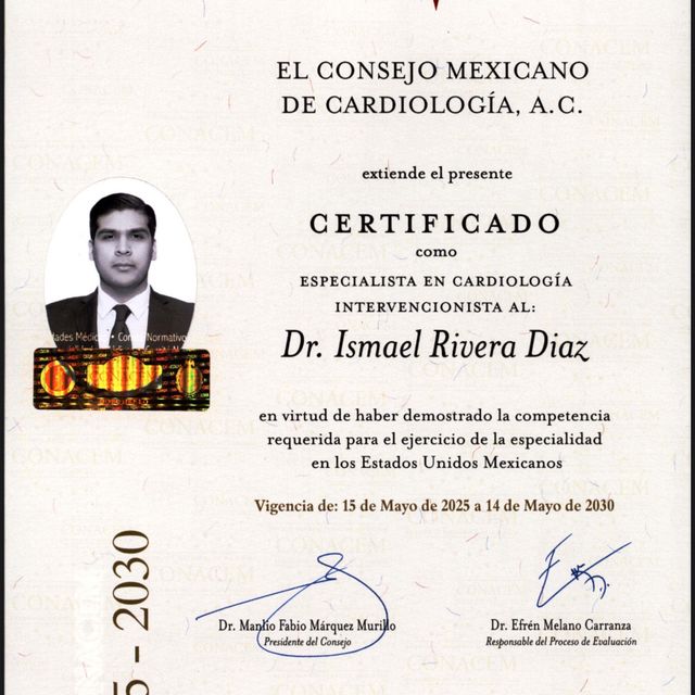 Ampliar imagen: certificate 10