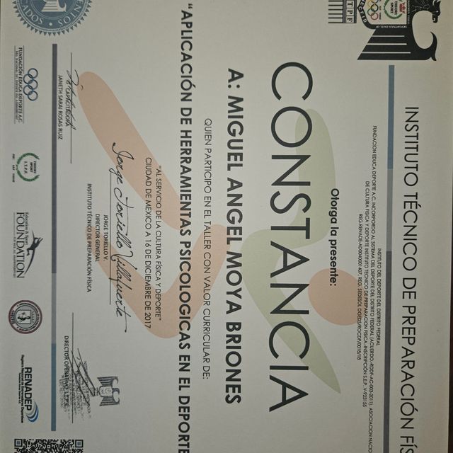 Ampliar imagen: certificate 13