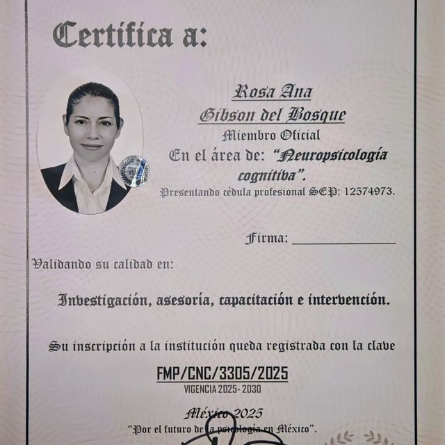 Ampliar imagen: certificate 2
