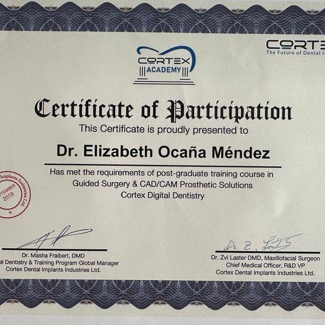 Ampliar imagen: certificate 4