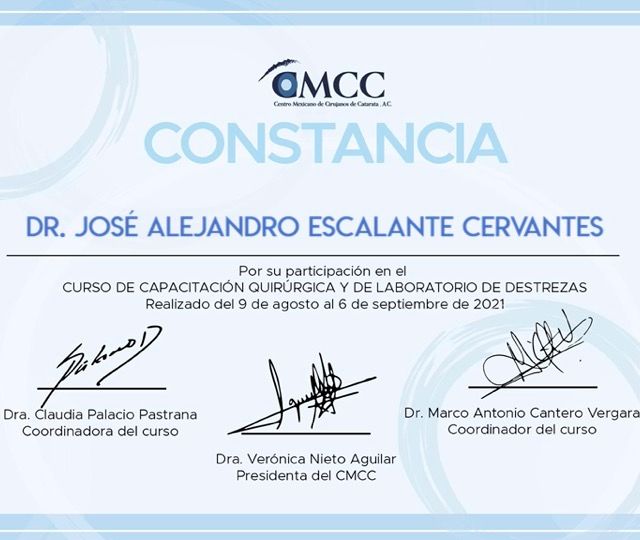 Ampliar imagen: certificate 6