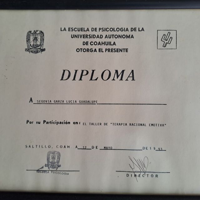 Ampliar imagen: certificate 9