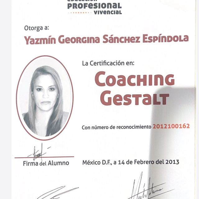 Ampliar imagen: certificate 4