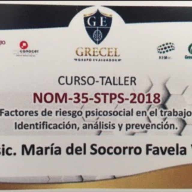 Ampliar imagen: certificate 4