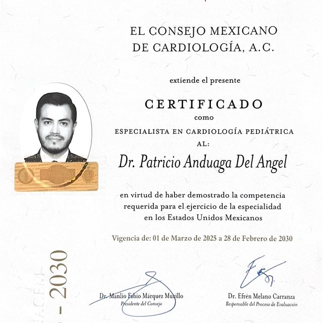 Ampliar imagen: certificate 2
