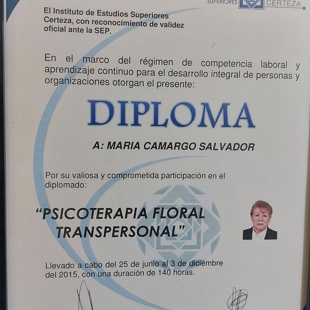 Ampliar imagen: certificate 15
