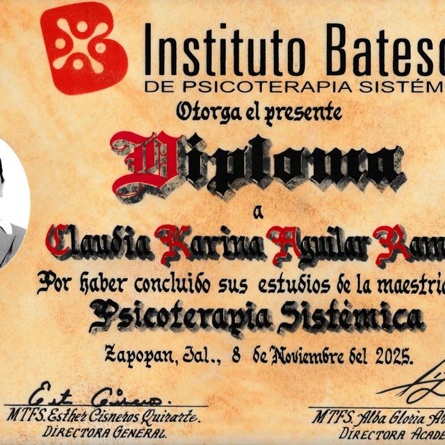 Ampliar imagen: certificate 3