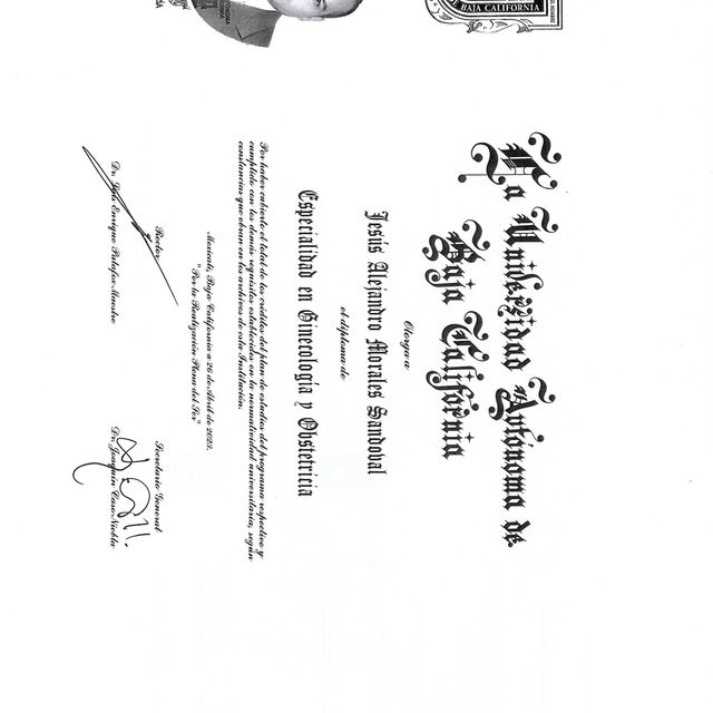 Ampliar imagen: certificate 1