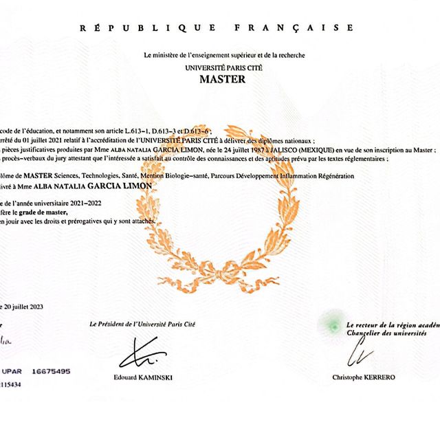 Ampliar imagen: certificate 3