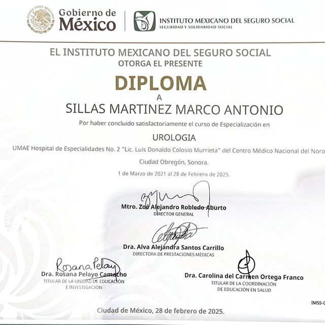 Ampliar imagen: certificate 3