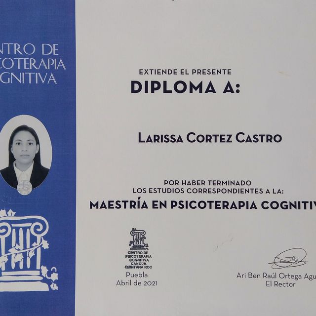 Ampliar imagen: certificate 1