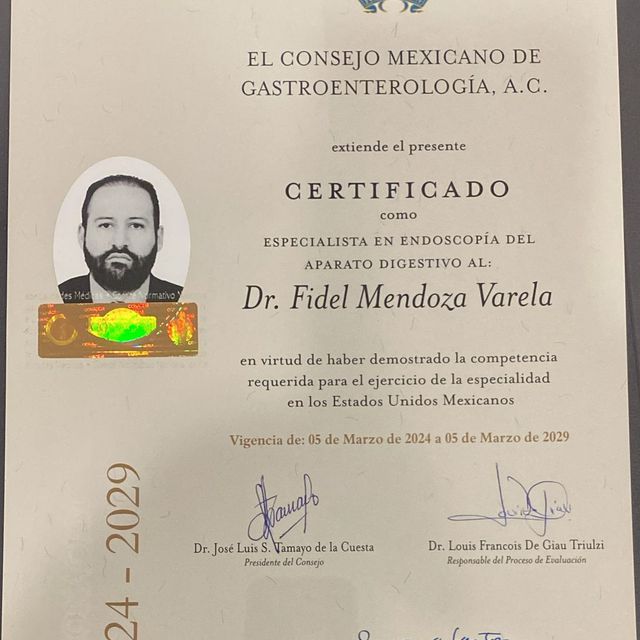 Ampliar imagen: certificate 2