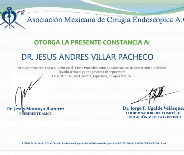 Ampliar imagen: certificate 1