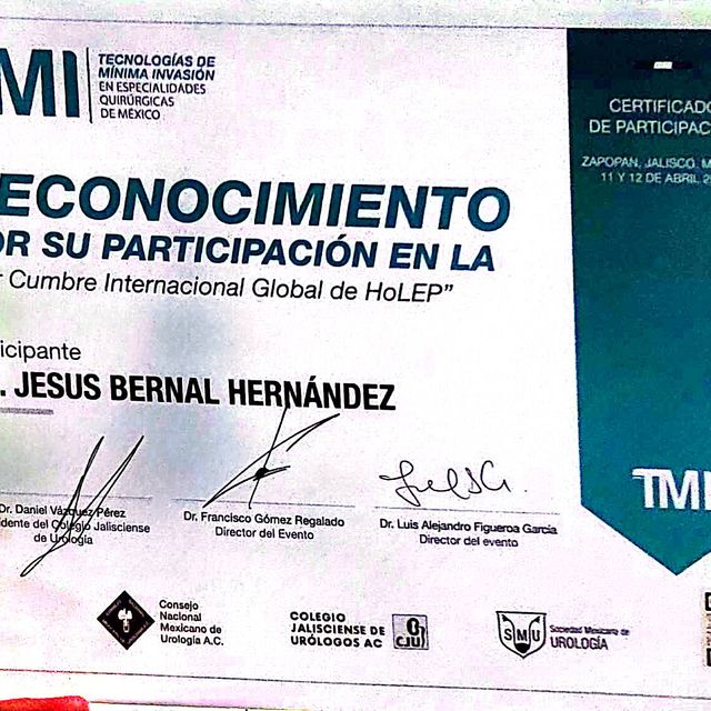 Ampliar imagen: certificate 6