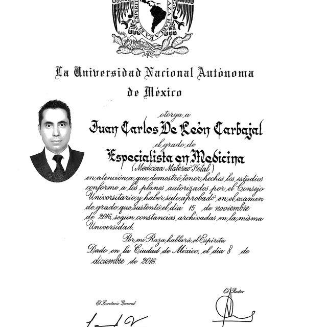 Ampliar imagen: certificate 5
