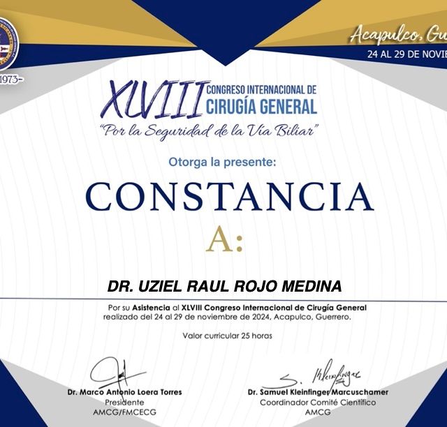 Ampliar imagen: certificate 7