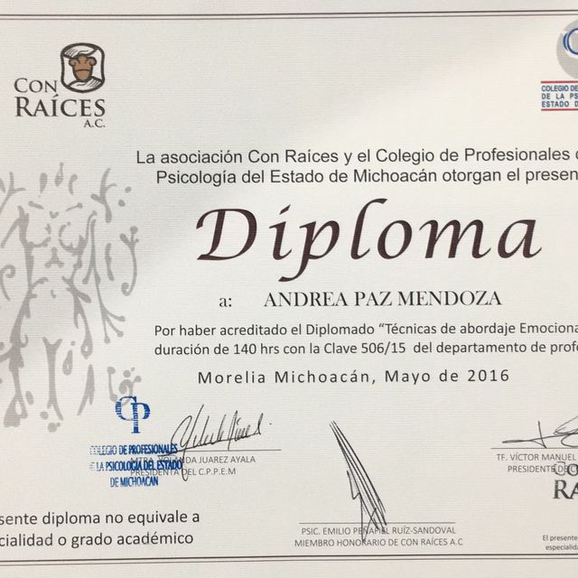 Ampliar imagen: certificate 4