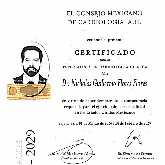 Ampliar imagen: certificate 4