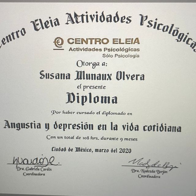 Ampliar imagen: certificate 4