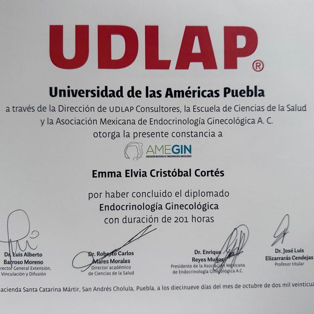 Ampliar imagen: certificate 1