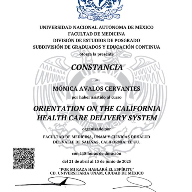 Ampliar imagen: certificate 2