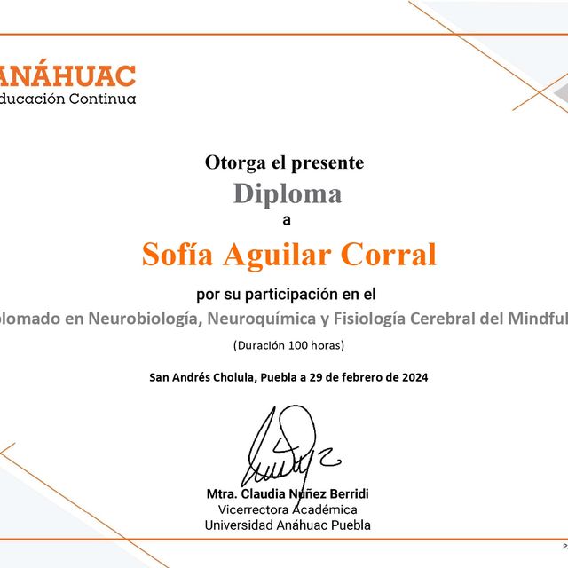 Ampliar imagen: certificate 1