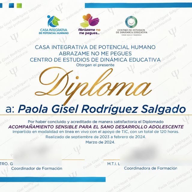 Ampliar imagen: certificate 3