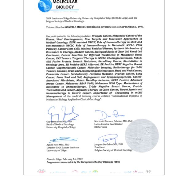 Ampliar imagen: certificate 7