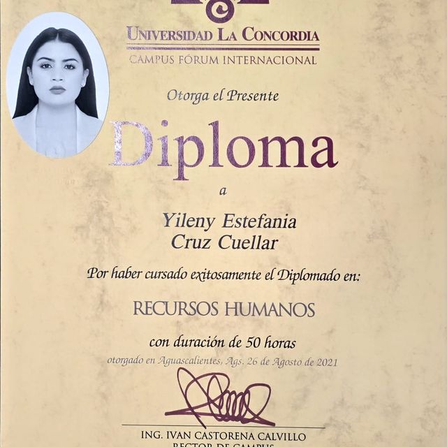 Ampliar imagen: certificate 9