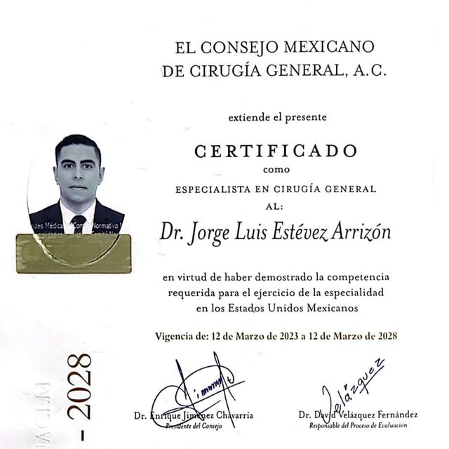 Ampliar imagen: certificate 3