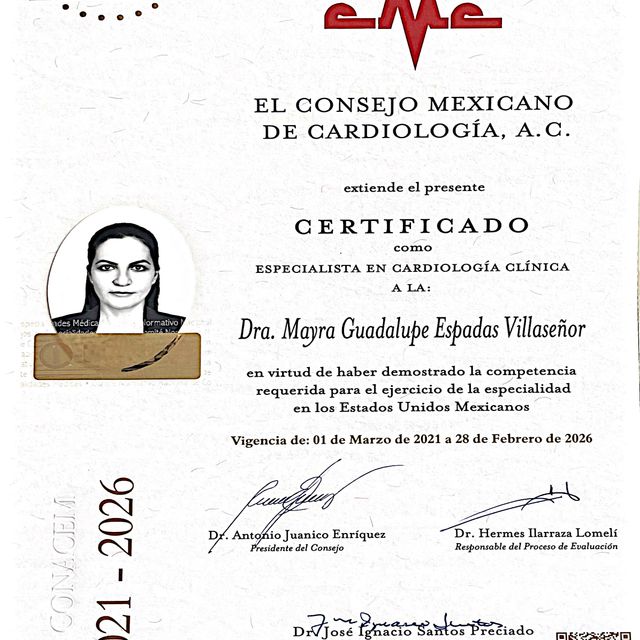 Ampliar imagen: certificate 4