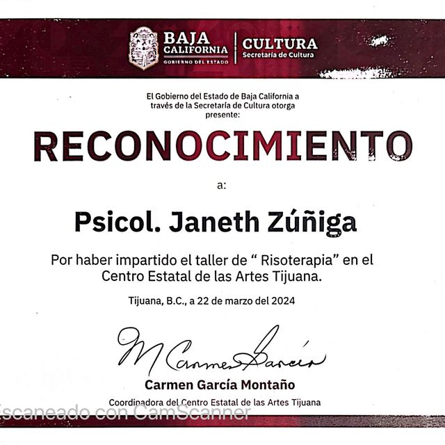 Ampliar imagen: certificate 10