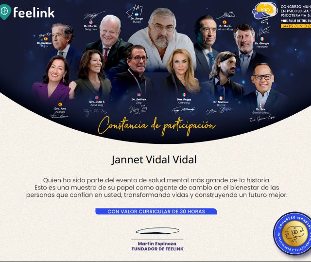 Ampliar imagen: certificate 8