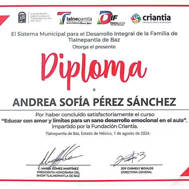 Ampliar imagen: certificate 2
